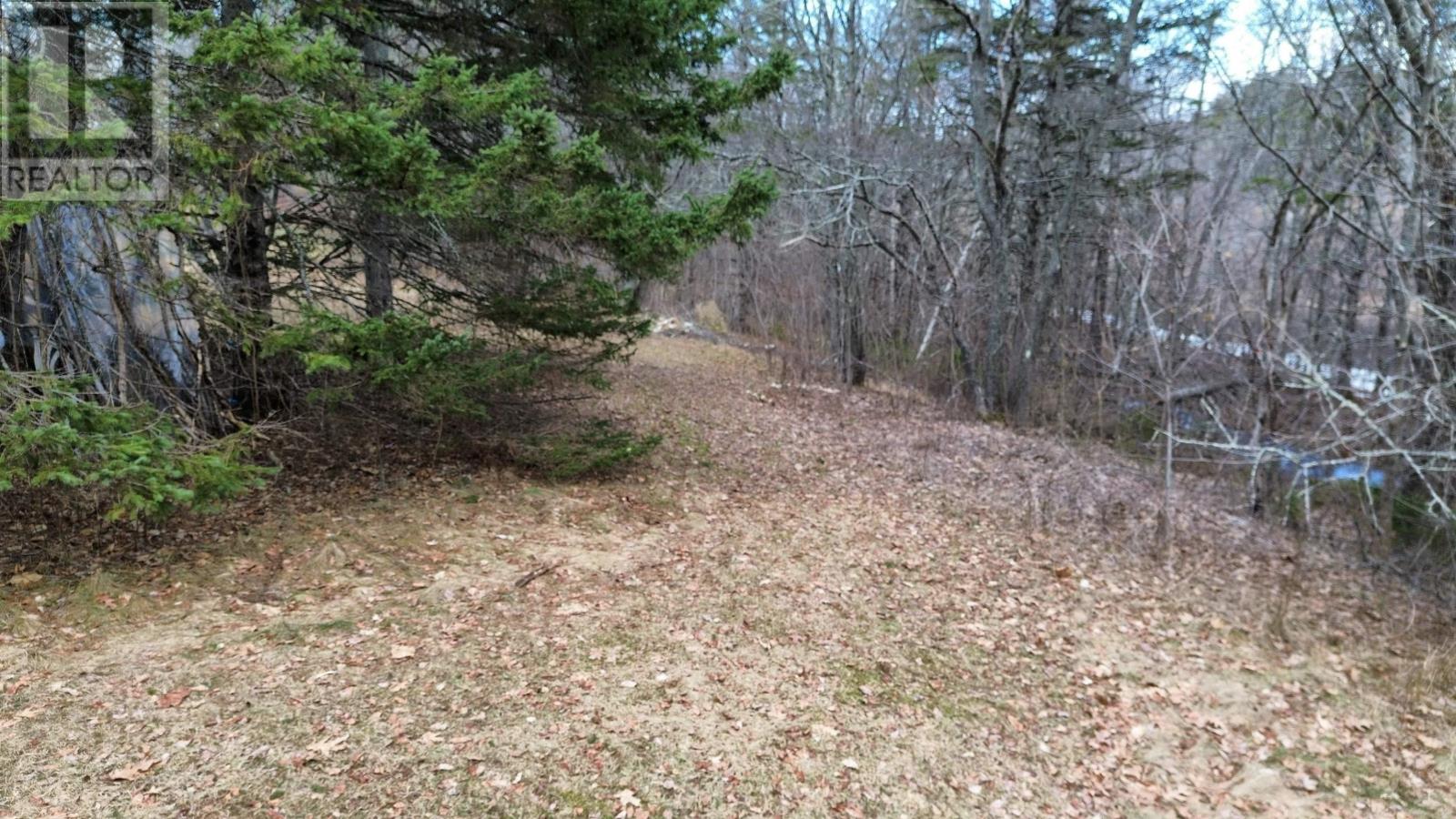 19 James Street, Oxford, Nova Scotia  B0M 1P0 - Photo 41 - 202605143