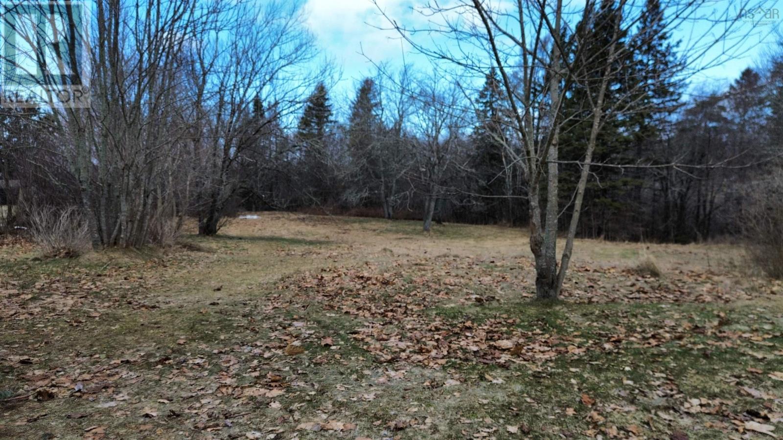 19 James Street, Oxford, Nova Scotia  B0M 1P0 - Photo 46 - 202605143