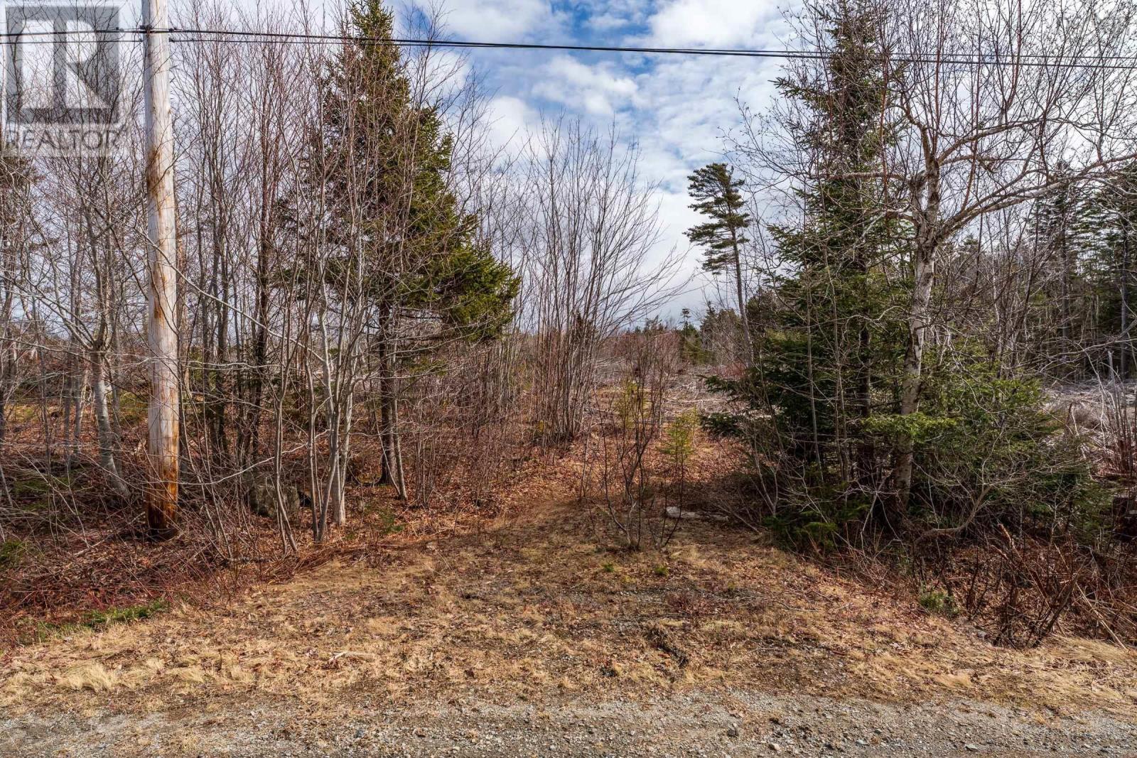 Lot Second Division Road, Concession, Nova Scotia  B0W 1M0 - Photo 3 - 202605233