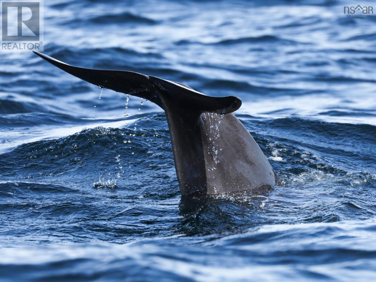 Unit 304 38693 Cabot Trail, South Ingonish Harbour, Nova Scotia  B0K 1K0 - Photo 18 - 202605312