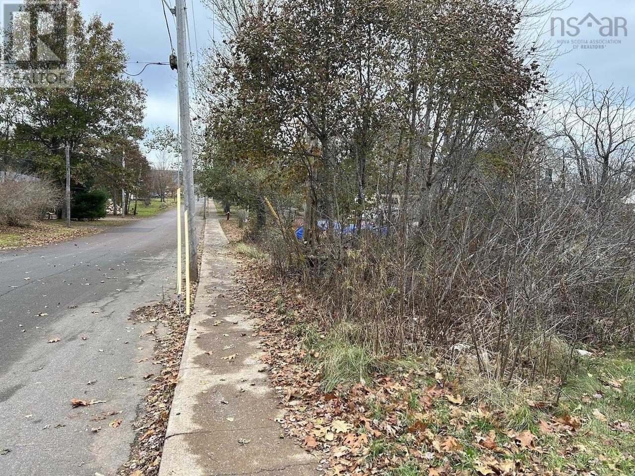 29 Upper Water Street, Oxford, Nova Scotia  B0M 1P0 - Photo 2 - 202605400