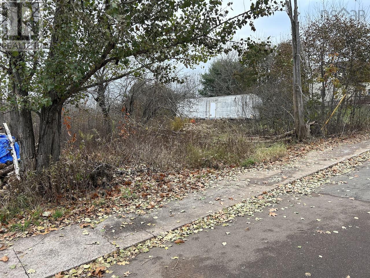 29 Upper Water Street, Oxford, Nova Scotia  B0M 1P0 - Photo 3 - 202605400