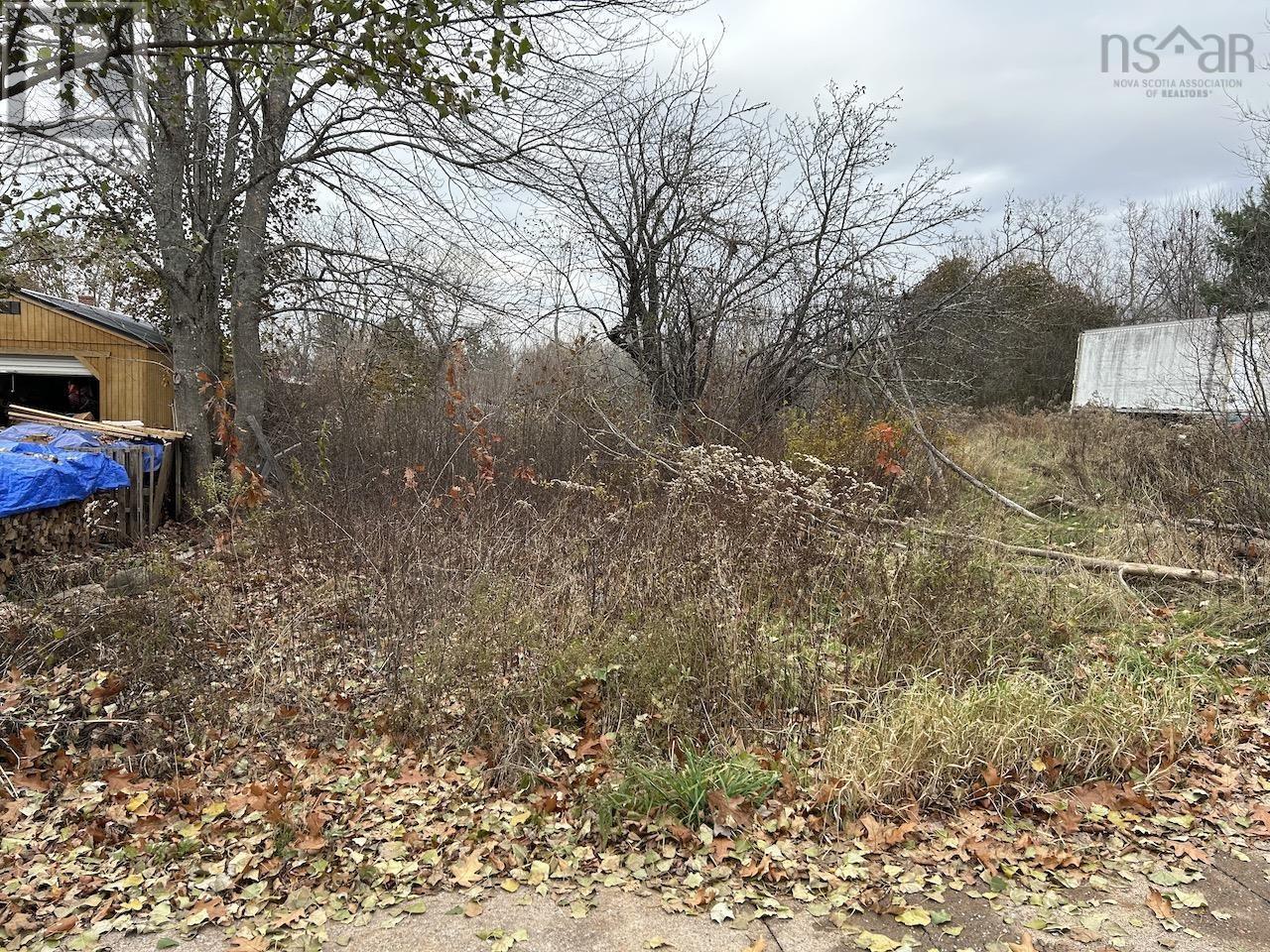 29 Upper Water Street, Oxford, Nova Scotia  B0M 1P0 - Photo 5 - 202605400