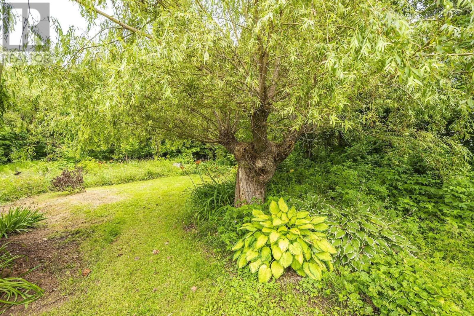 1260 Baxters Harbour Road, Baxters Harbour, Nova Scotia  B0P 1H0 - Photo 10 - 202605476