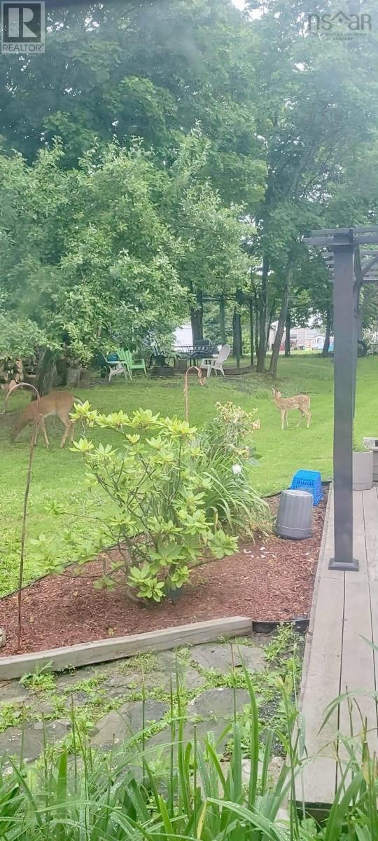 55 View Street, New Glasgow, Nova Scotia  B2H 2G3 - Photo 48 - 202605486