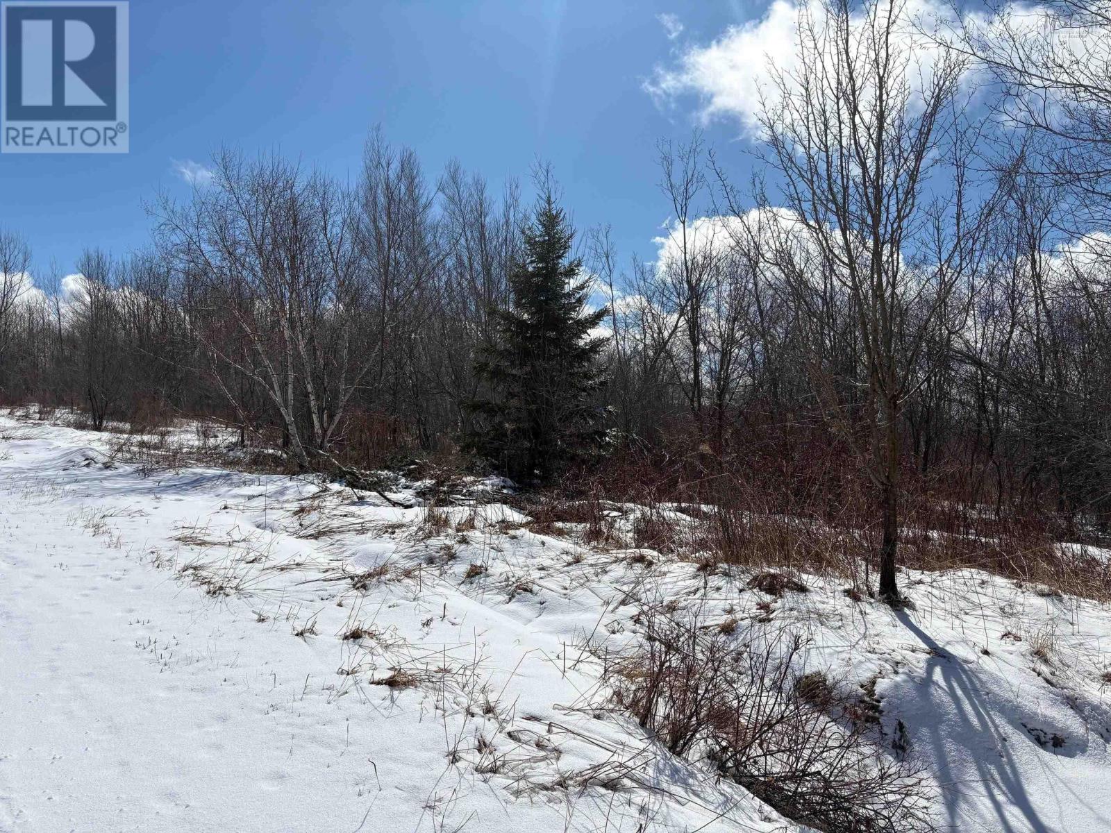 Lot - Oak Street, Trenton, Nova Scotia  B0K 1X0 - Photo 2 - 202605492