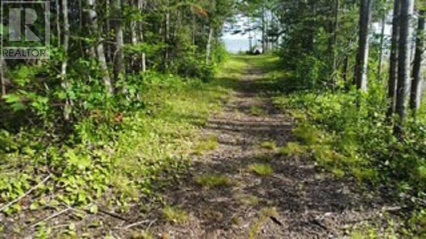 08-2 Malagash Road, Malagash Point, Nova Scotia  B0K 1E0 - Photo 13 - 202605522