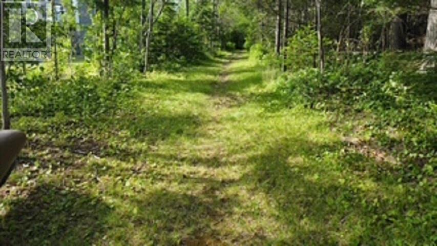08-2 Malagash Road, Malagash Point, Nova Scotia  B0K 1E0 - Photo 14 - 202605522