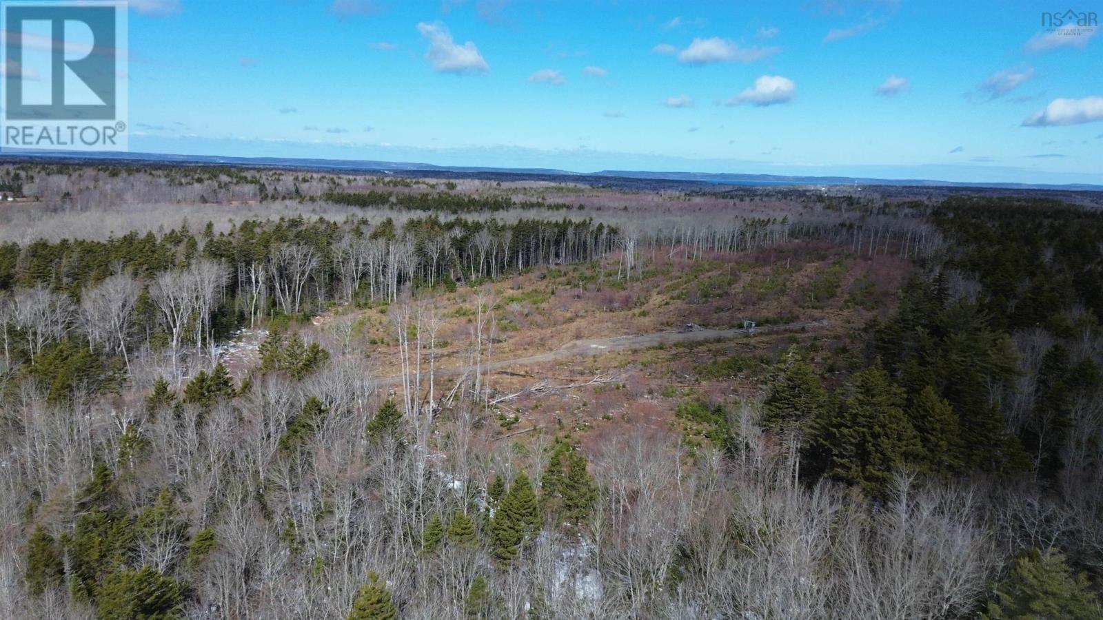 340 Highway, Weaver Settlement, Nova Scotia  B0W 3T0 - Photo 11 - 202605545