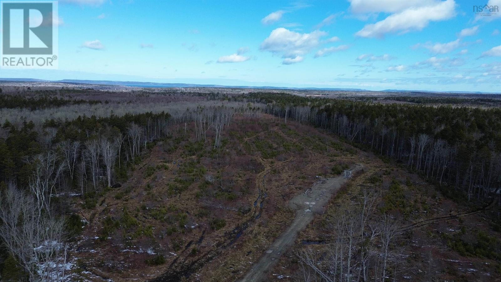 340 Highway, Weaver Settlement, Nova Scotia  B0W 3T0 - Photo 2 - 202605545