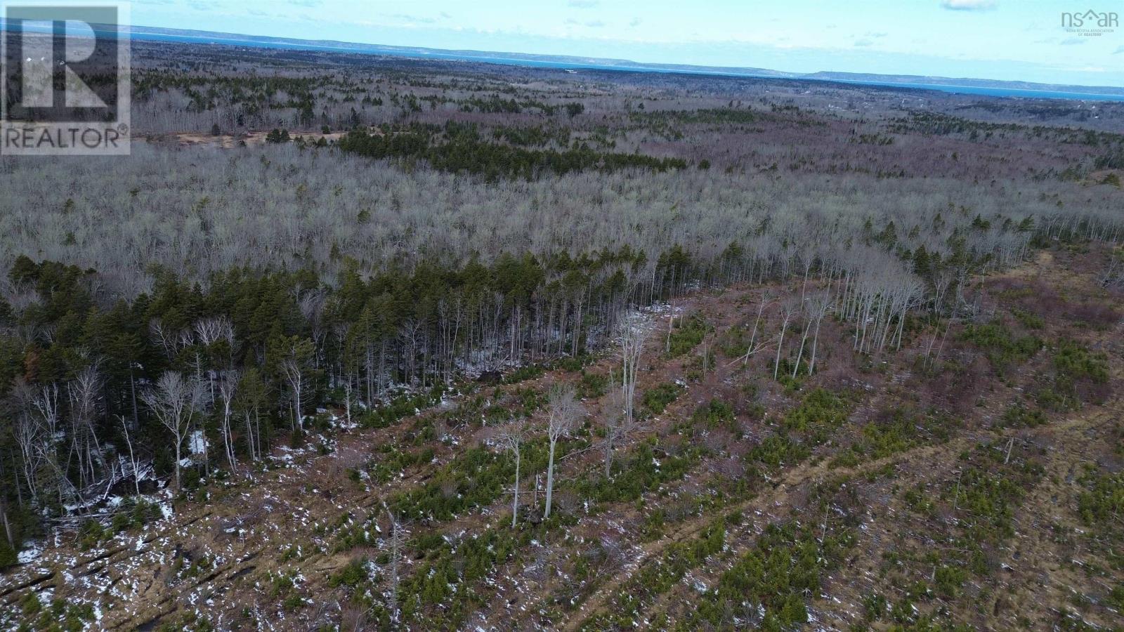 340 Highway, Weaver Settlement, Nova Scotia  B0W 3T0 - Photo 22 - 202605545