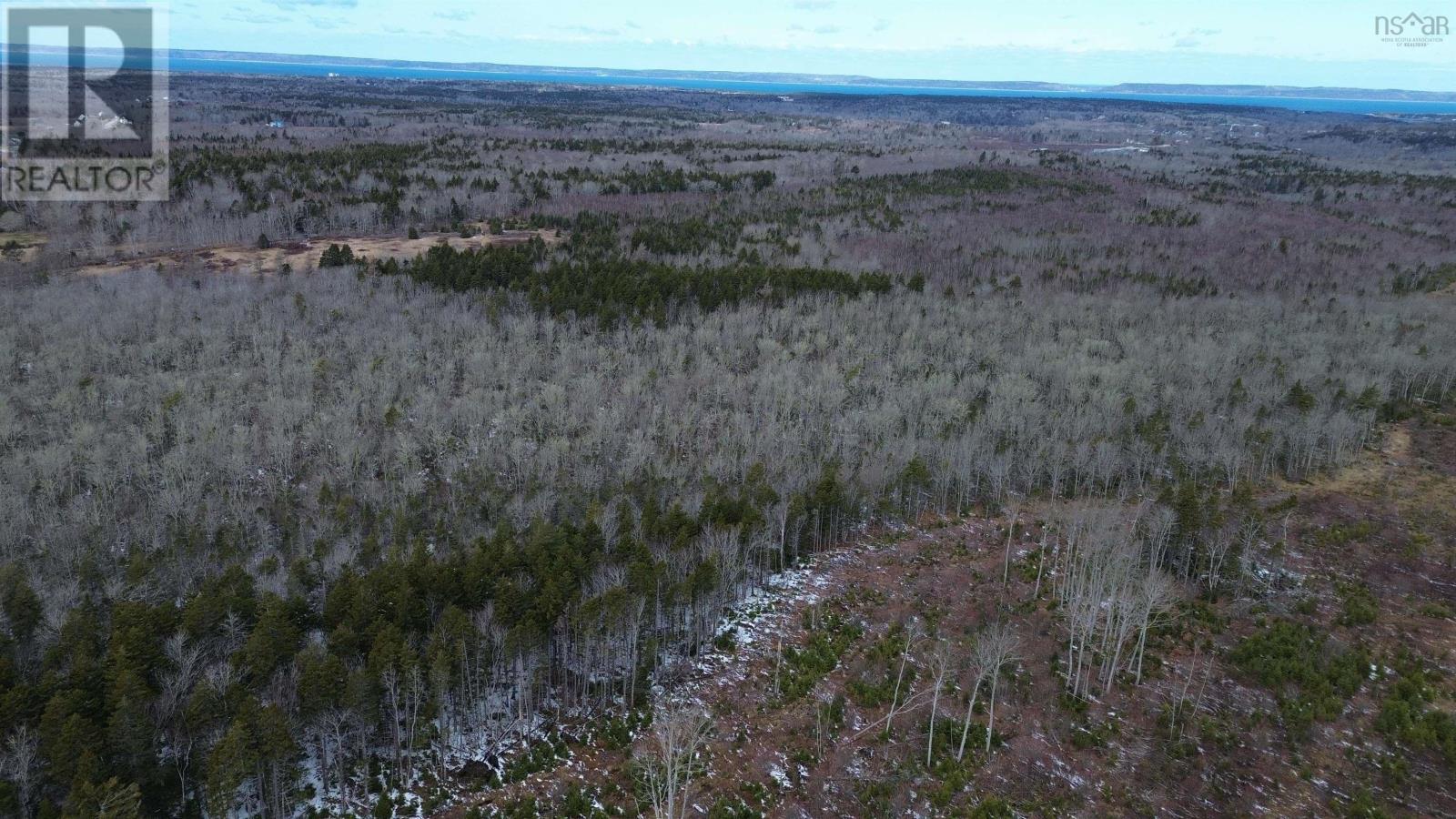 340 Highway, Weaver Settlement, Nova Scotia  B0W 3T0 - Photo 23 - 202605545
