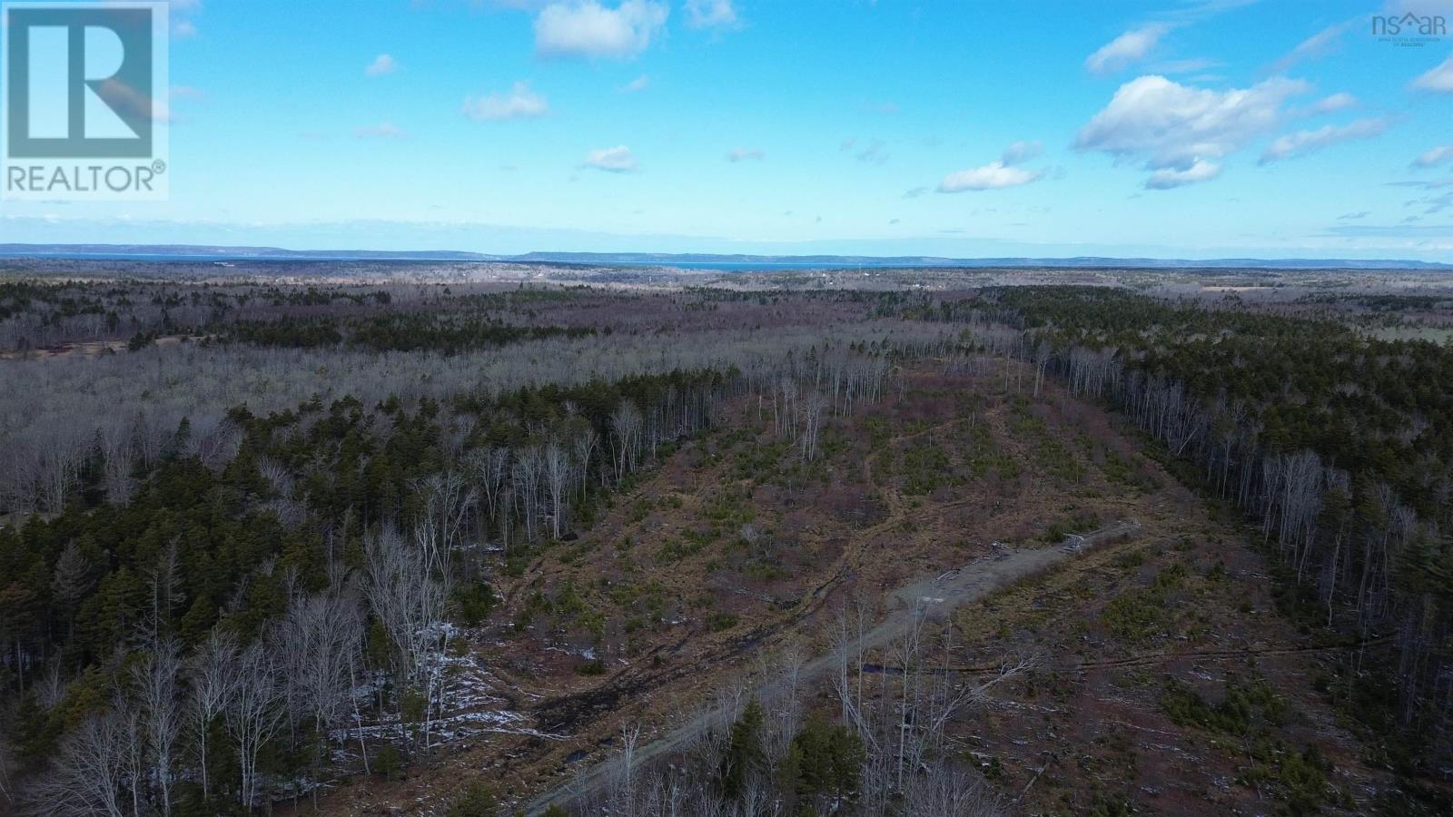 340 Highway, Weaver Settlement, Nova Scotia  B0W 3T0 - Photo 3 - 202605545
