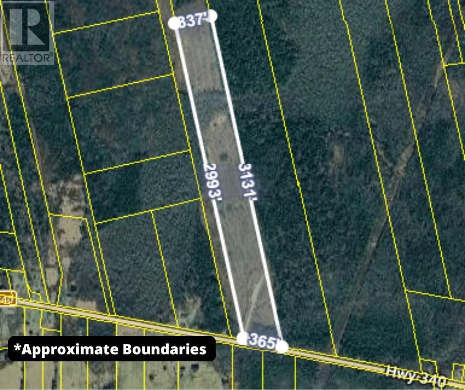 340 Highway, Weaver Settlement, Nova Scotia  B0W 3T0 - Photo 31 - 202605545