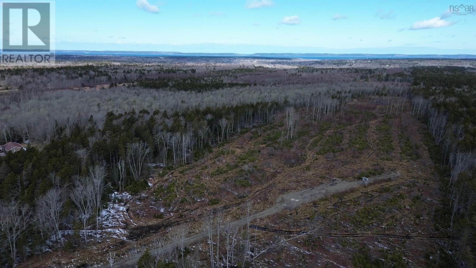 340 Highway, Weaver Settlement, Nova Scotia  B0W 3T0 - Photo 5 - 202605545