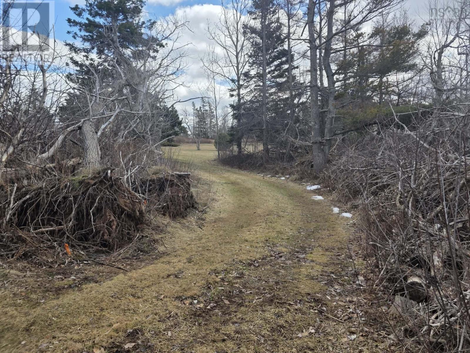 55 Joyce Mackinnon Lane, Seafoam, Nova Scotia  B0K 1N0 - Photo 19 - 202605670