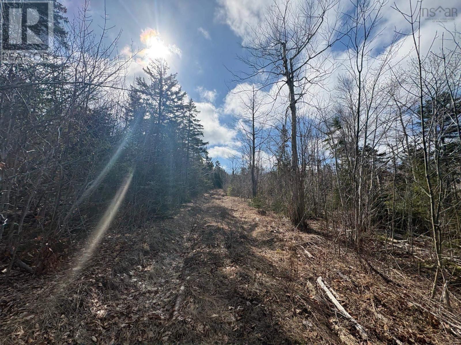 Lot 9 Longley Mountain Road, Youngs Cove, Nova Scotia  B0S 1L0 - Photo 12 - 202605842