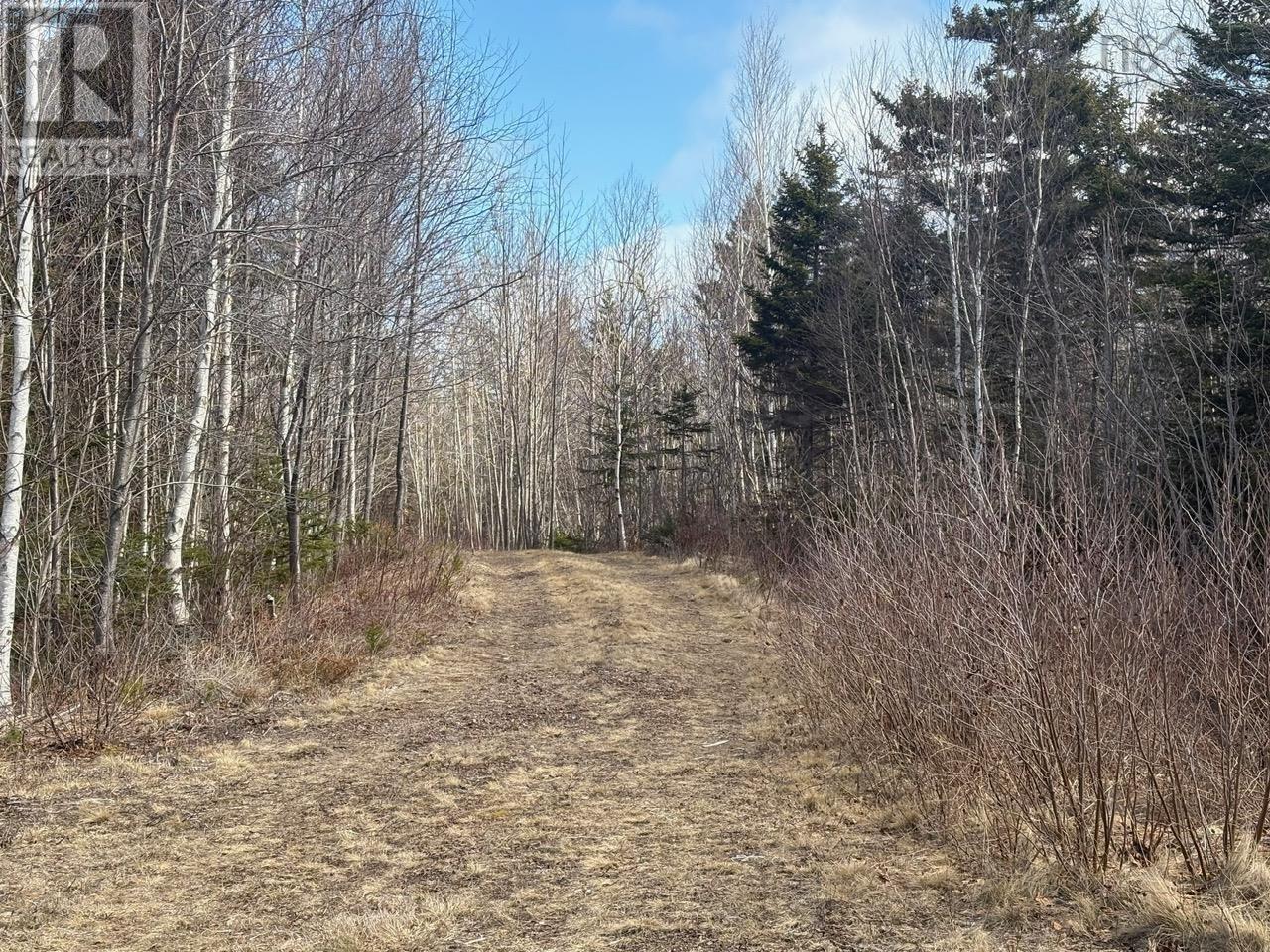 Lot 9 Longley Mountain Road, Youngs Cove, Nova Scotia  B0S 1L0 - Photo 13 - 202605842