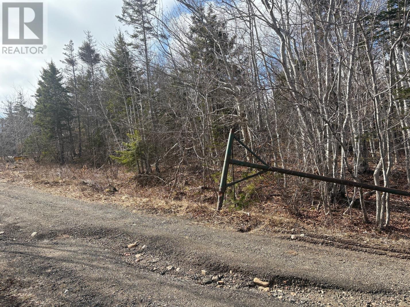 Lot 9 Longley Mountain Road, Youngs Cove, Nova Scotia  B0S 1L0 - Photo 14 - 202605842