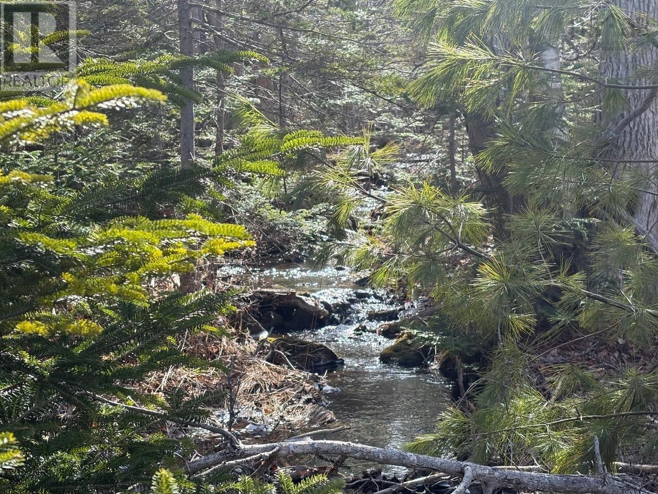 Lot 9 Longley Mountain Road, Youngs Cove, Nova Scotia  B0S 1L0 - Photo 17 - 202605842