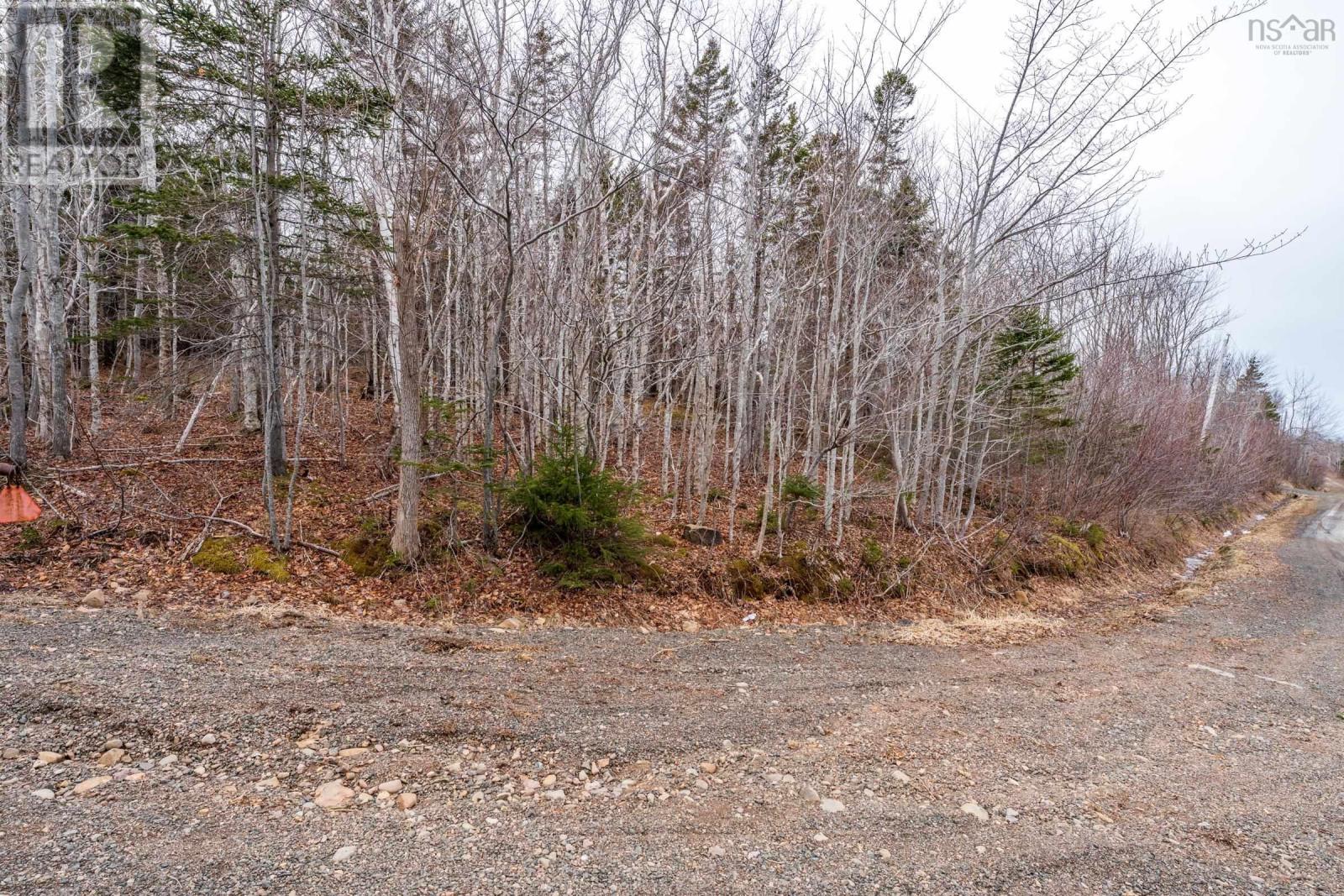 Lot 9 Longley Mountain Road, Youngs Cove, Nova Scotia  B0S 1L0 - Photo 31 - 202605842