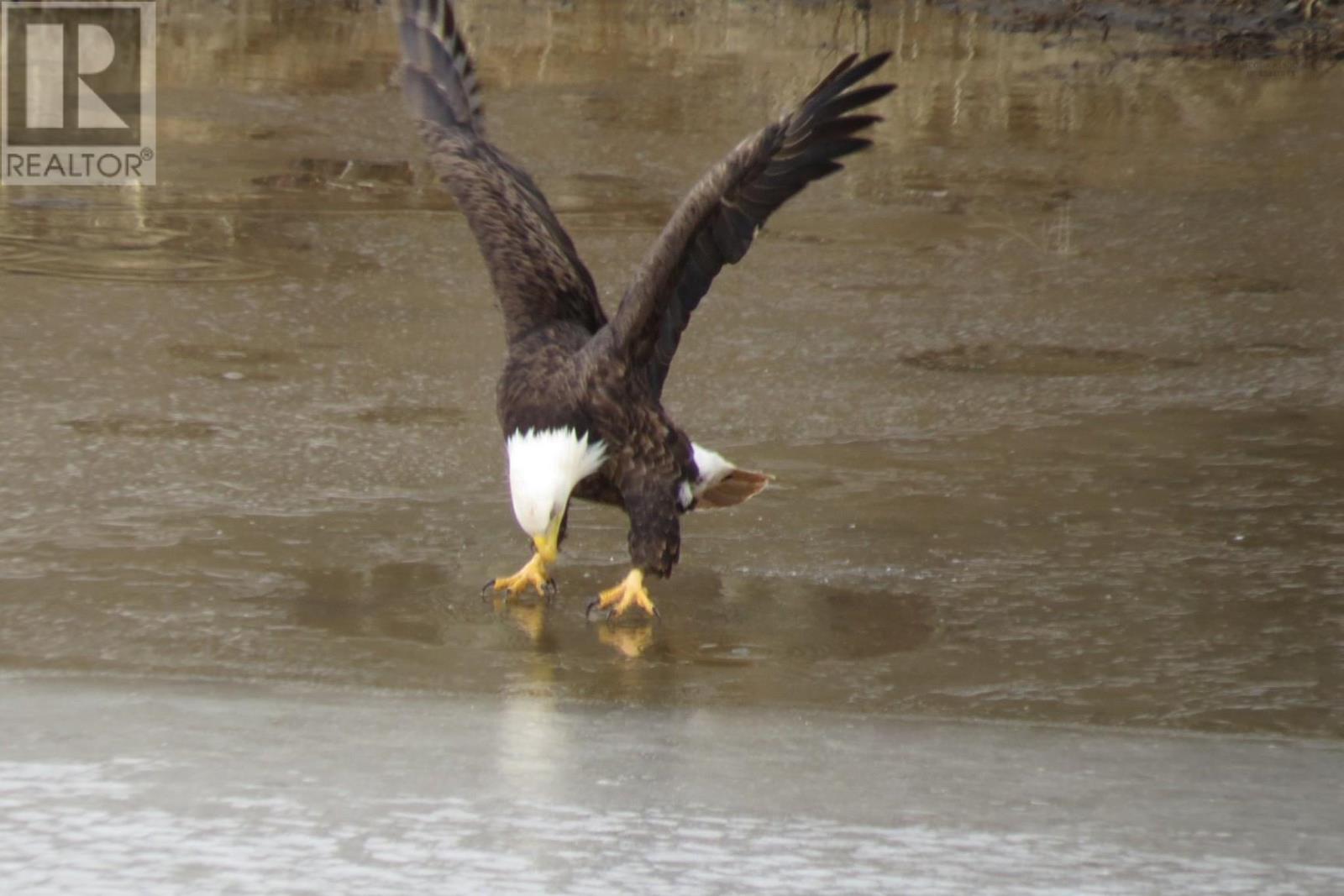 302 42 Bigelow Street, Wolfville, Nova Scotia  B4P 0A4 - Photo 44 - 202605855