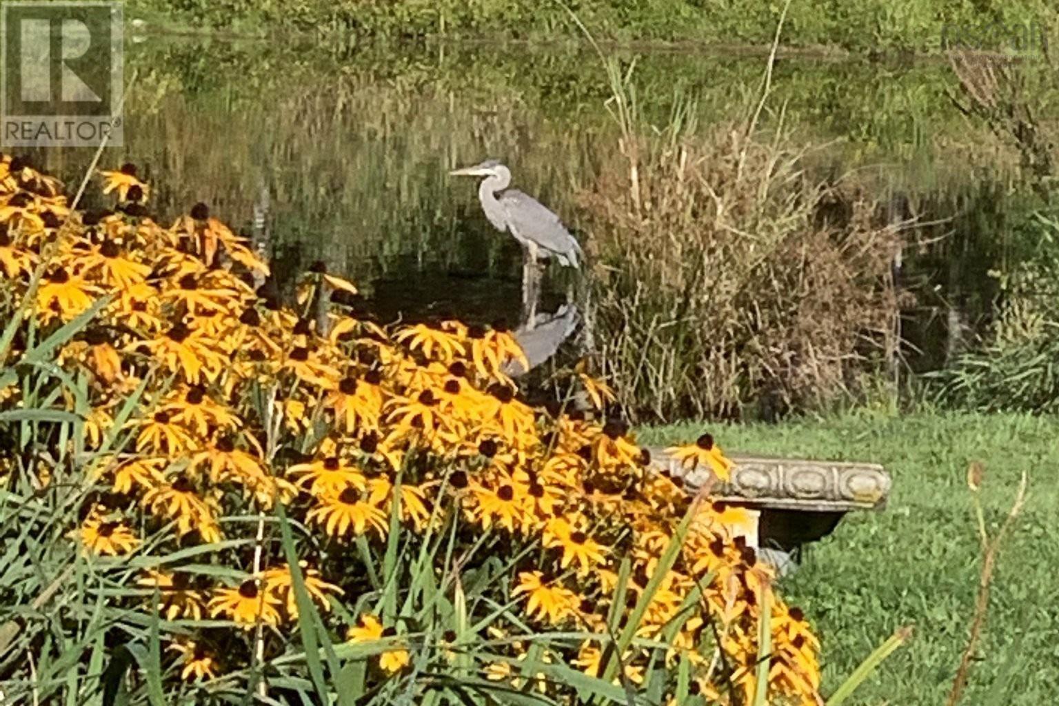 302 42 Bigelow Street, Wolfville, Nova Scotia  B4P 0A4 - Photo 46 - 202605855