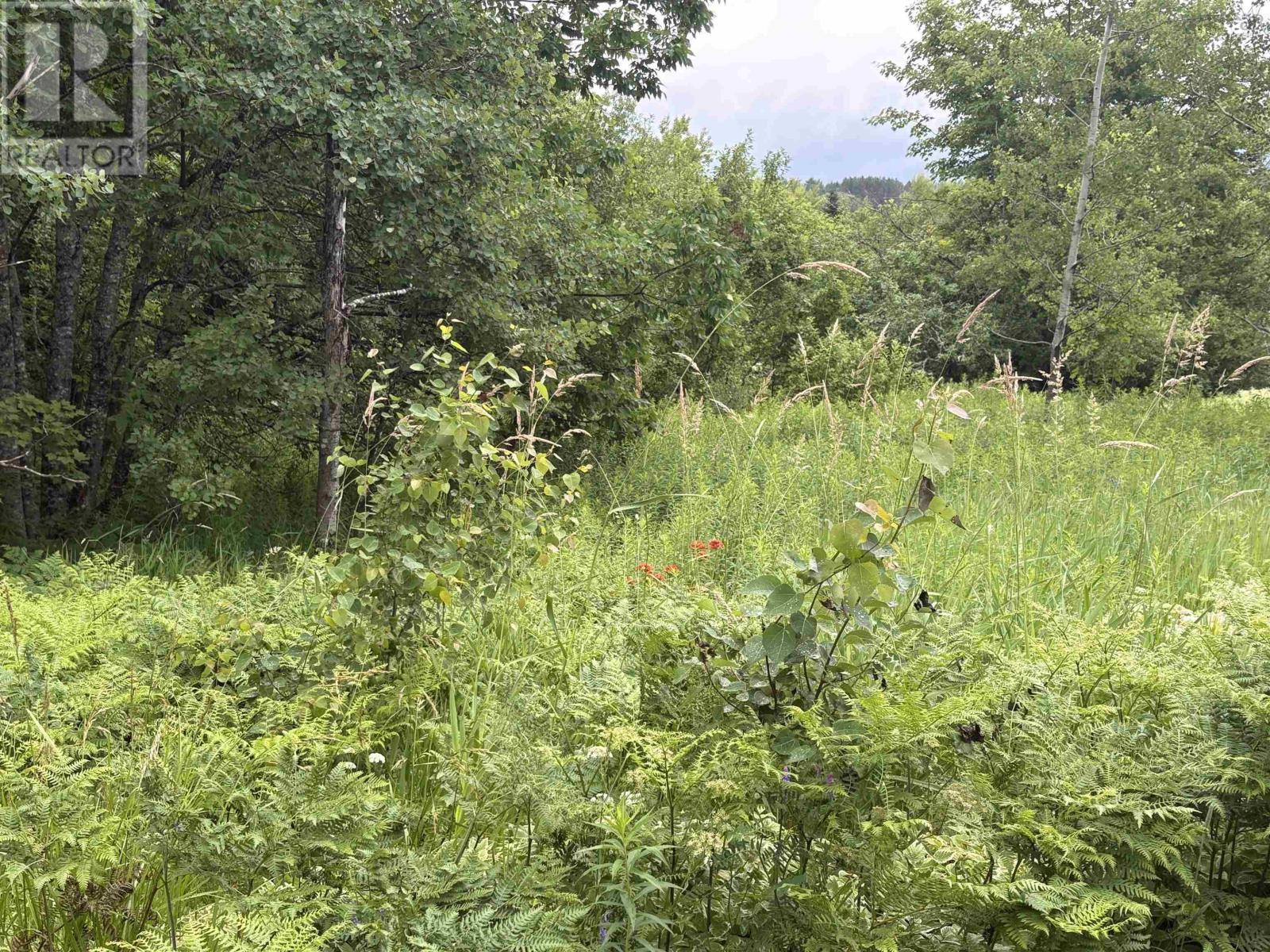 Lot 235 Landsdowne Station Road, Lansdowne Station, Nova Scotia  B0K 2A0 - Photo 2 - 202605865