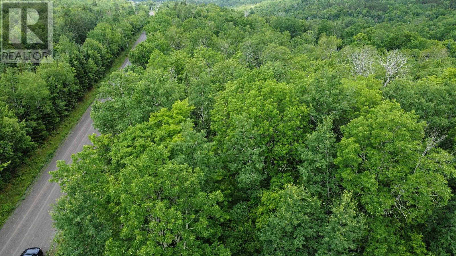 Lot 235 Landsdowne Station Road, Lansdowne Station, Nova Scotia  B0K 2A0 - Photo 5 - 202605865