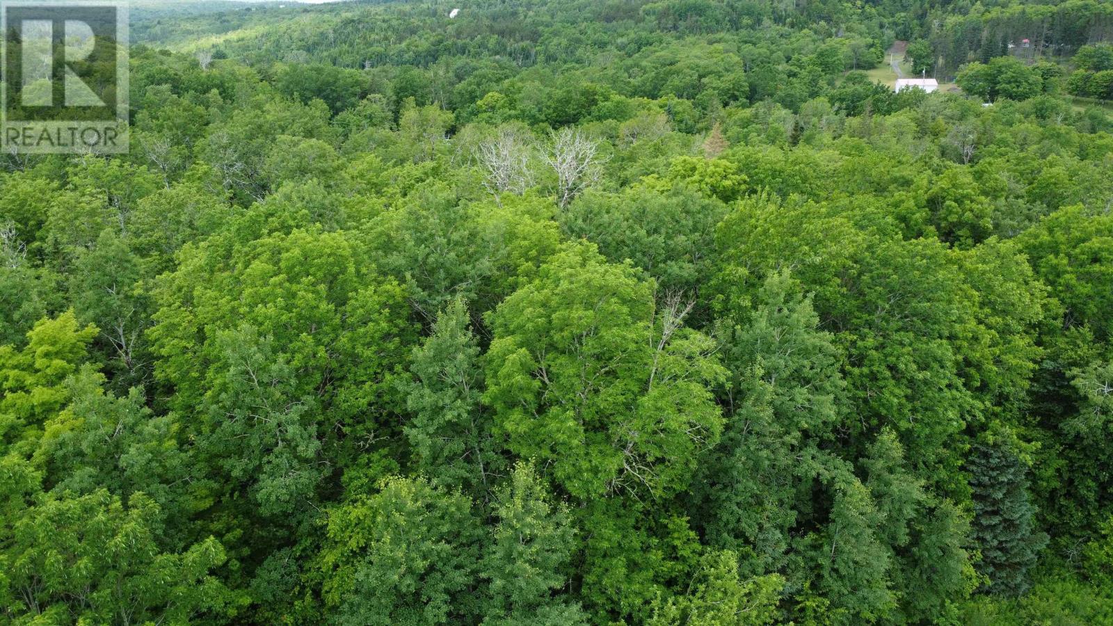 Lot 235 Landsdowne Station Road, Lansdowne Station, Nova Scotia  B0K 2A0 - Photo 7 - 202605865