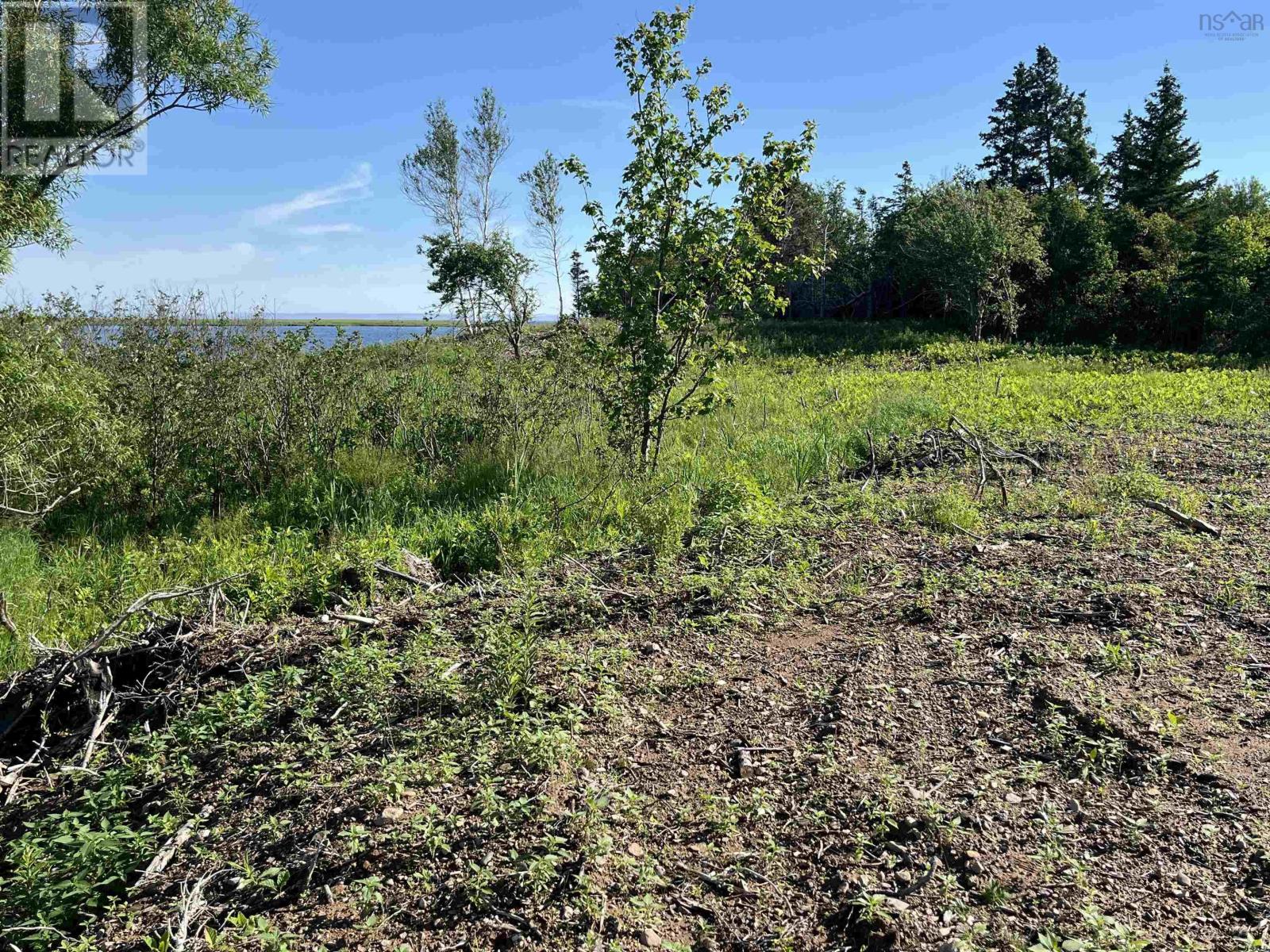 Lot 11-1z Galt Pond Road, Lower Barneys River, Nova Scotia  B0K 1G0 - Photo 14 - 202605866