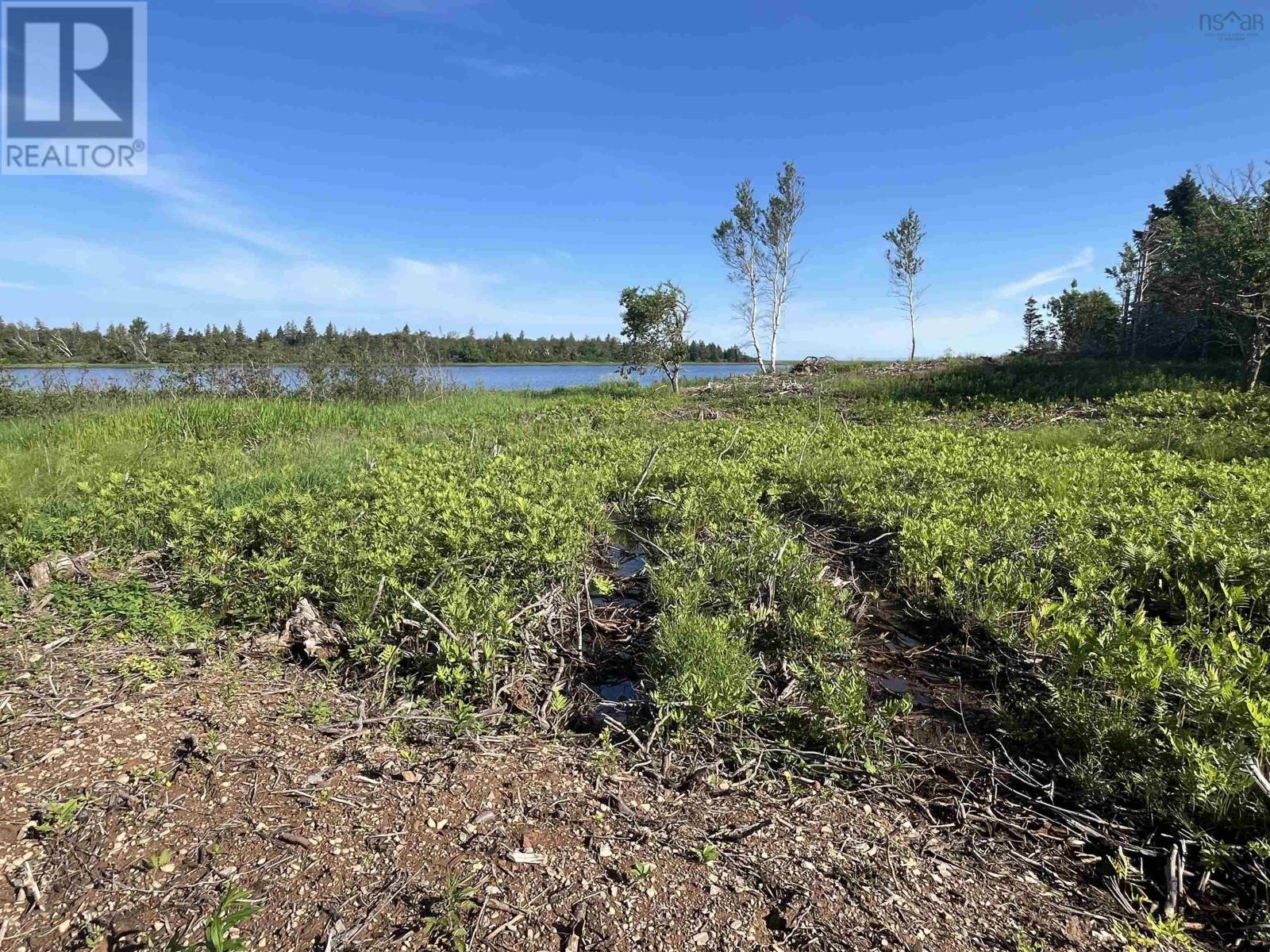 Lot 11-1z Galt Pond Road, Lower Barneys River, Nova Scotia  B0K 1G0 - Photo 5 - 202605866