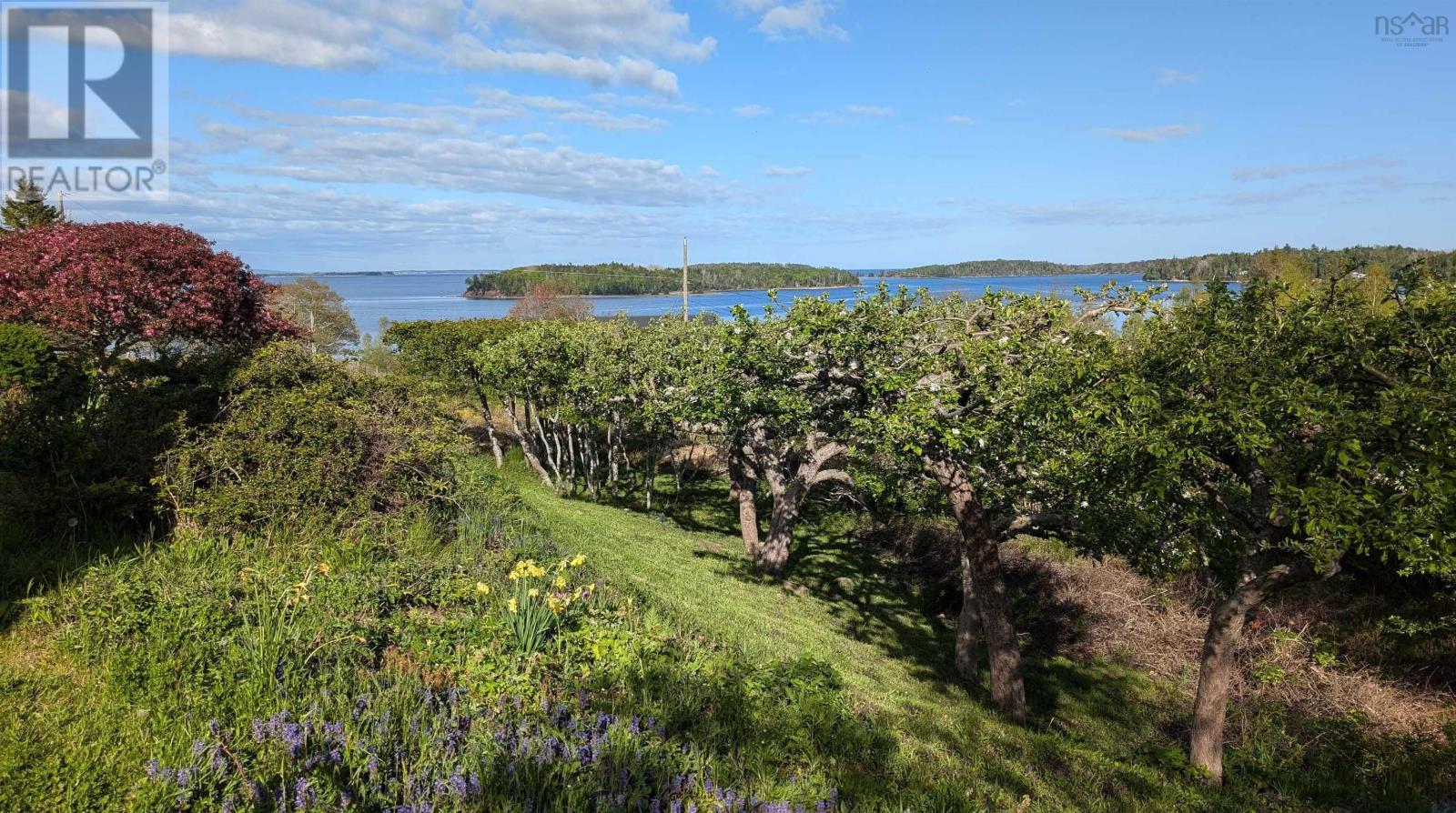 400 Maders Cove Road, Maders Cove, Nova Scotia  B0J 2E0 - Photo 3 - 202605874