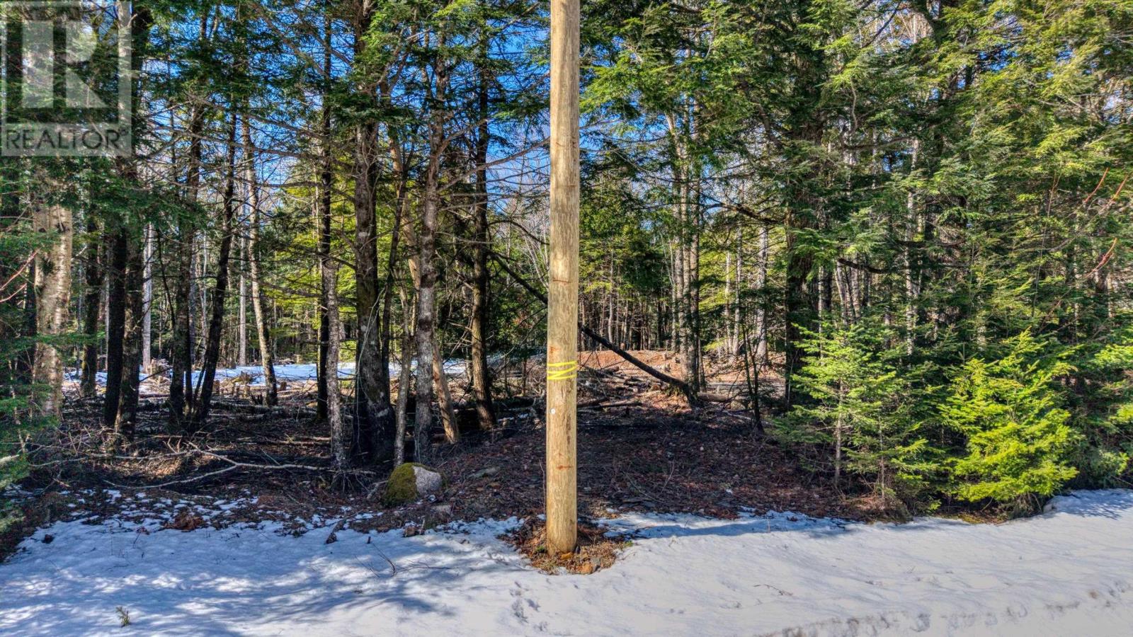 Lot 64c Hirtle Road, Maitland, Nova Scotia  B0J 1E0 - Photo 11 - 202605873