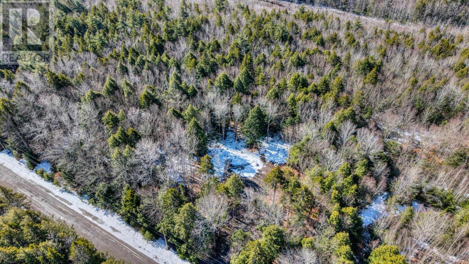 Lot 64c Hirtle Road, Maitland, Nova Scotia  B0J 1E0 - Photo 20 - 202605873