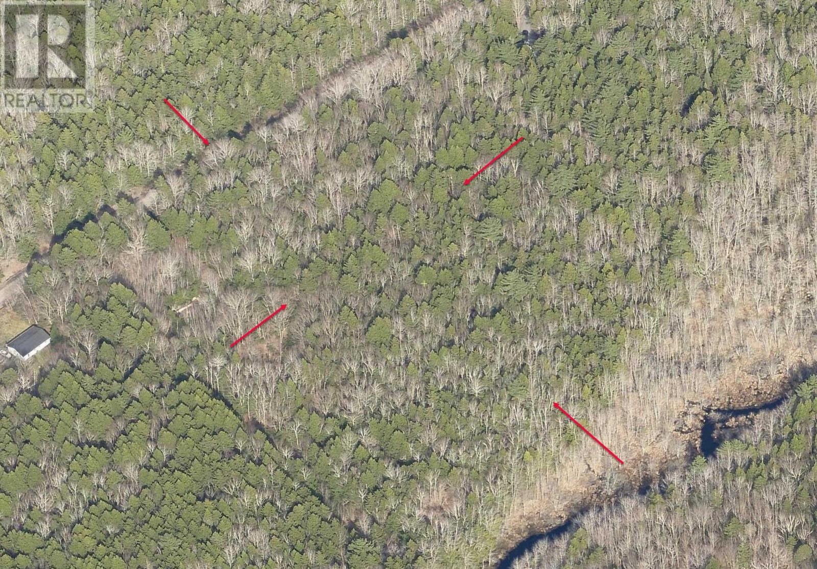 Lot 64c Hirtle Road, Maitland, Nova Scotia  B0J 1E0 - Photo 26 - 202605873