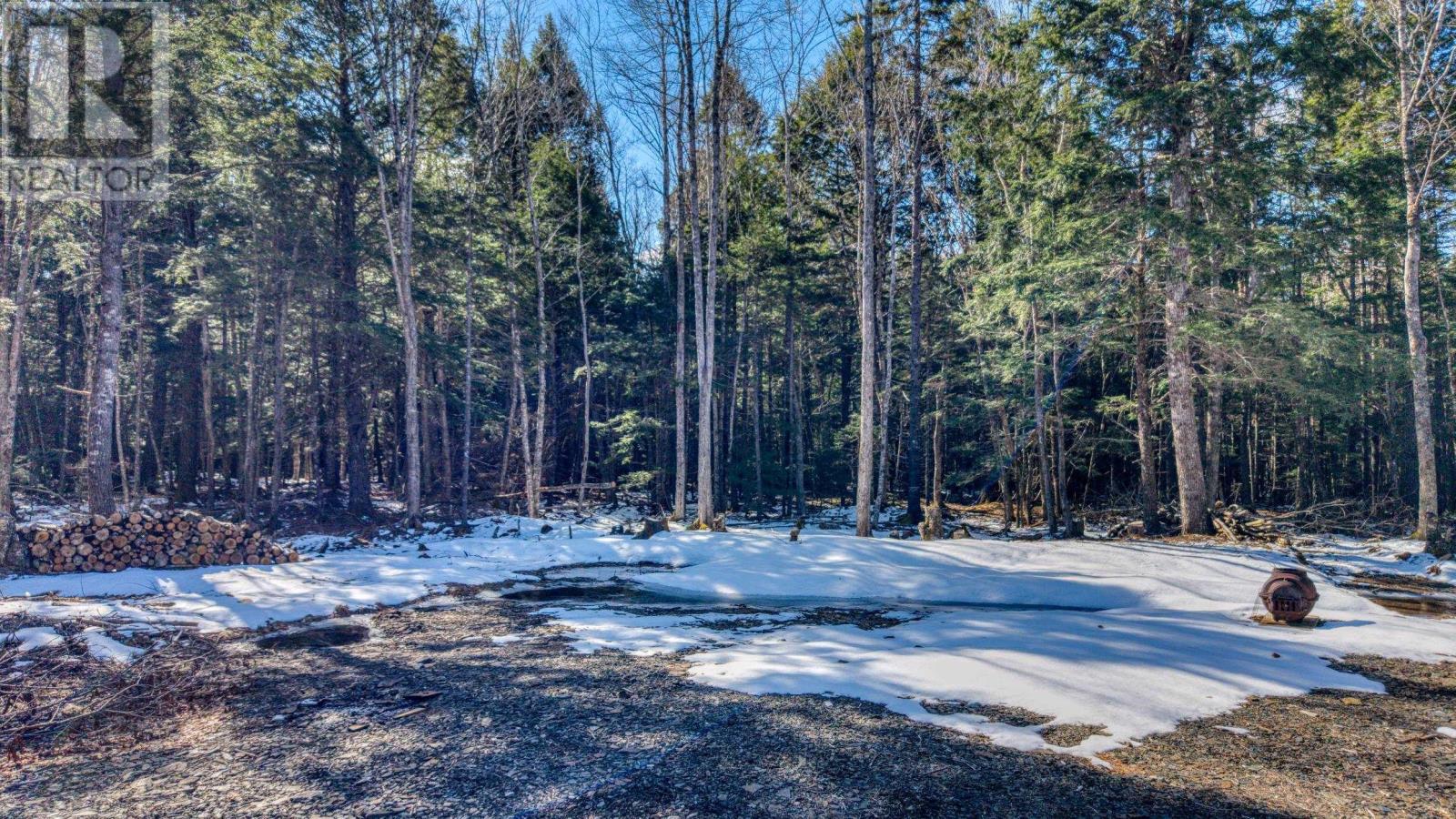 Lot 64c Hirtle Road, Maitland, Nova Scotia  B0J 1E0 - Photo 8 - 202605873