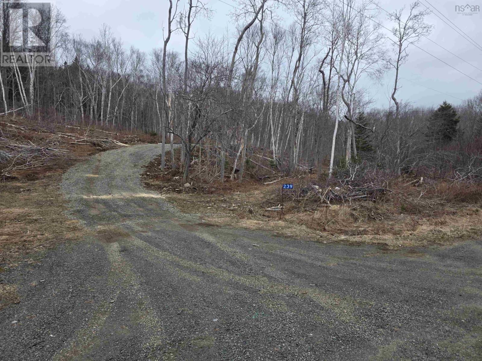 Lot 2 239 Sissiboo Road, Weymouth, Nova Scotia  B0W 3T0 - Photo 2 - 202605878