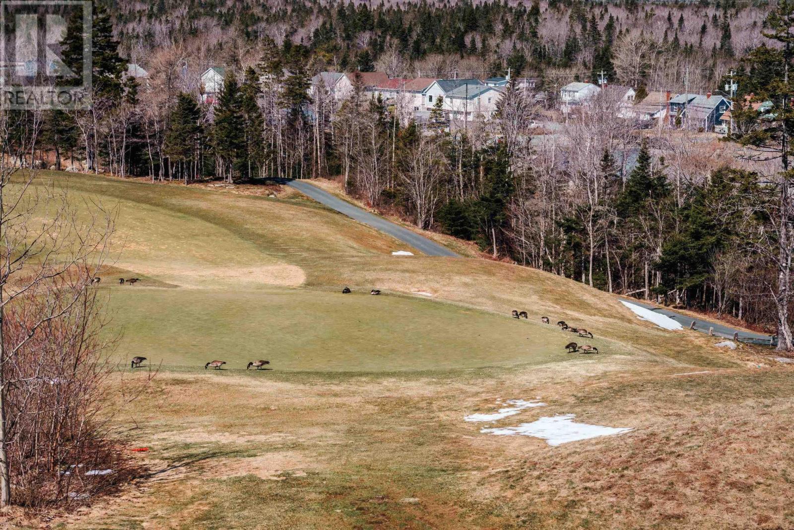 71 Maple Grove Avenue, Timberlea, Nova Scotia  B3T 0E2 - Photo 16 - 202605899