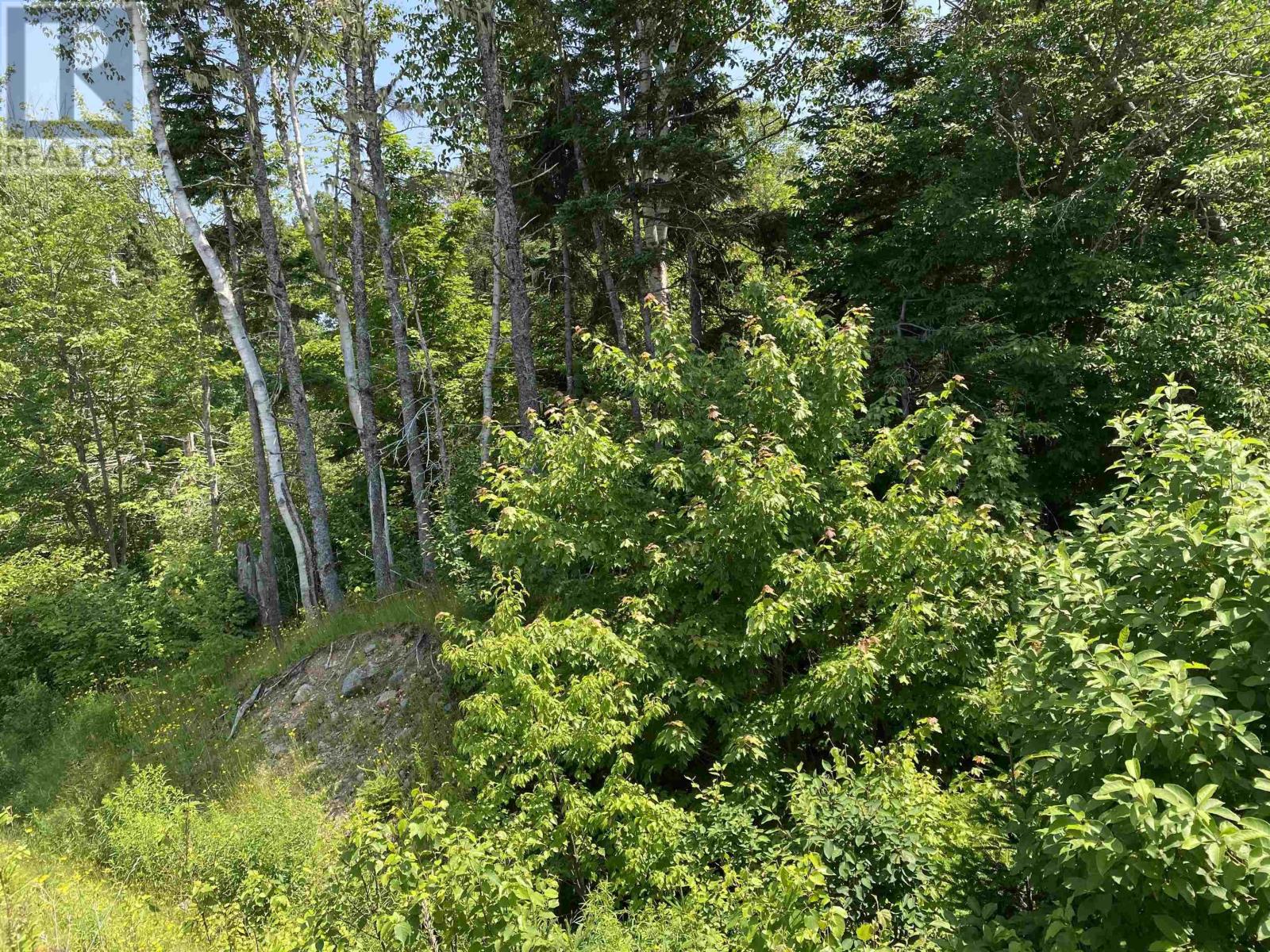 0 Cabot Trail, Tarbot, Nova Scotia  B0C 1H0 - Photo 2 - 202605987