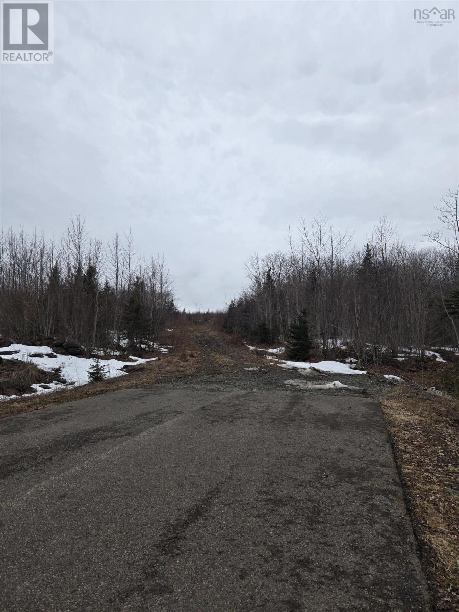 Old Mulgrave Road, Mulgrave, Nova Scotia  B0E 2G0 - Photo 3 - 202606098
