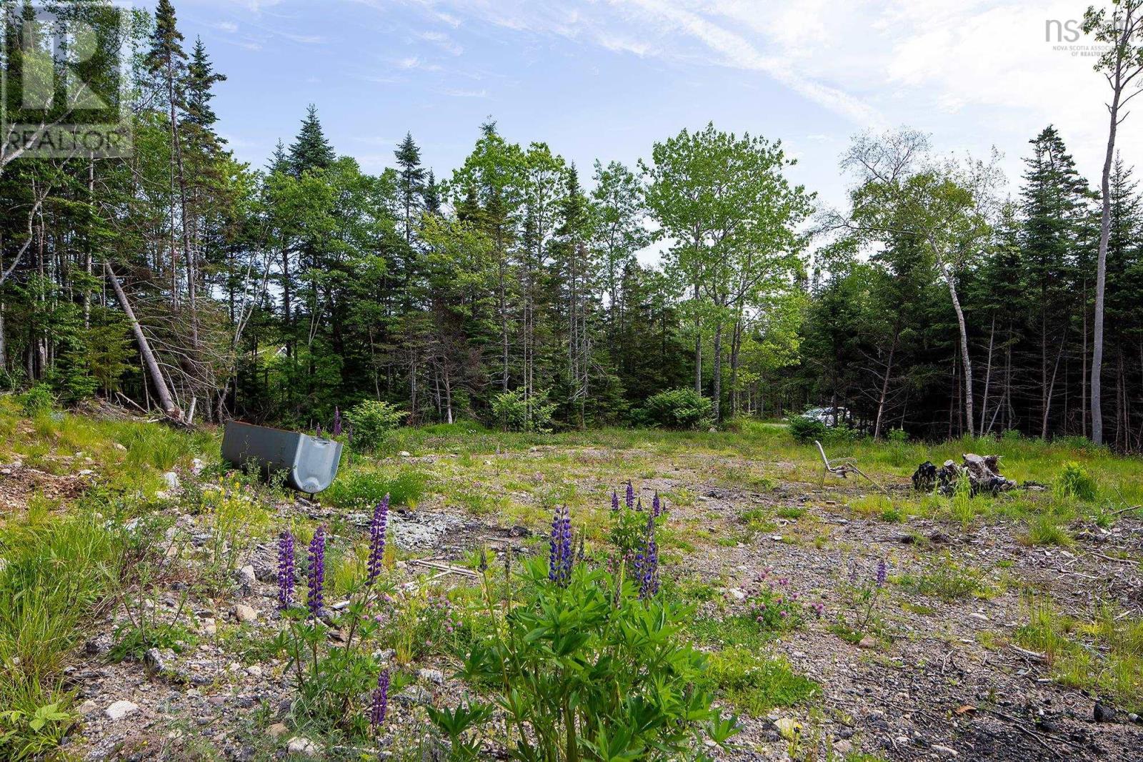 10 Spruce Lane, Boutiliers Point, Nova Scotia  B3Z 4G8 - Photo 10 - 202606214