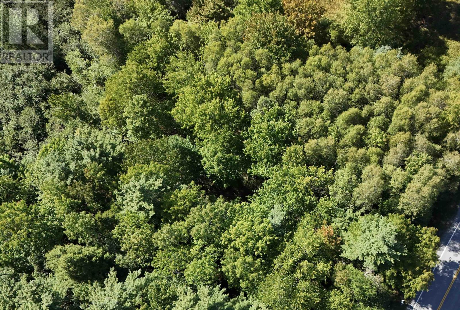 Lot Highway 10, Cookville, Nova Scotia  B4V 7R3 - Photo 2 - 202606278