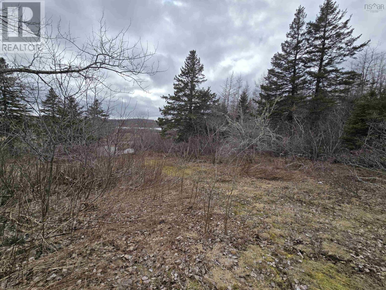 18540 Country Harbour  Hwy 316 Highway, Country Harbour, Nova Scotia  B0H 1M0 - Photo 28 - 202606383