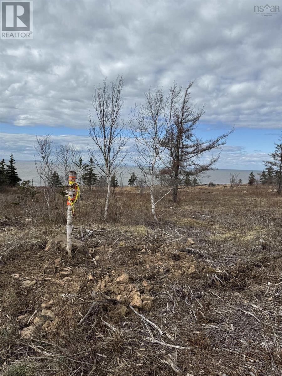 Lot 8b Shore Road West, Phinneys Cove, Nova Scotia  B0S 1L0 - Photo 4 - 202606562