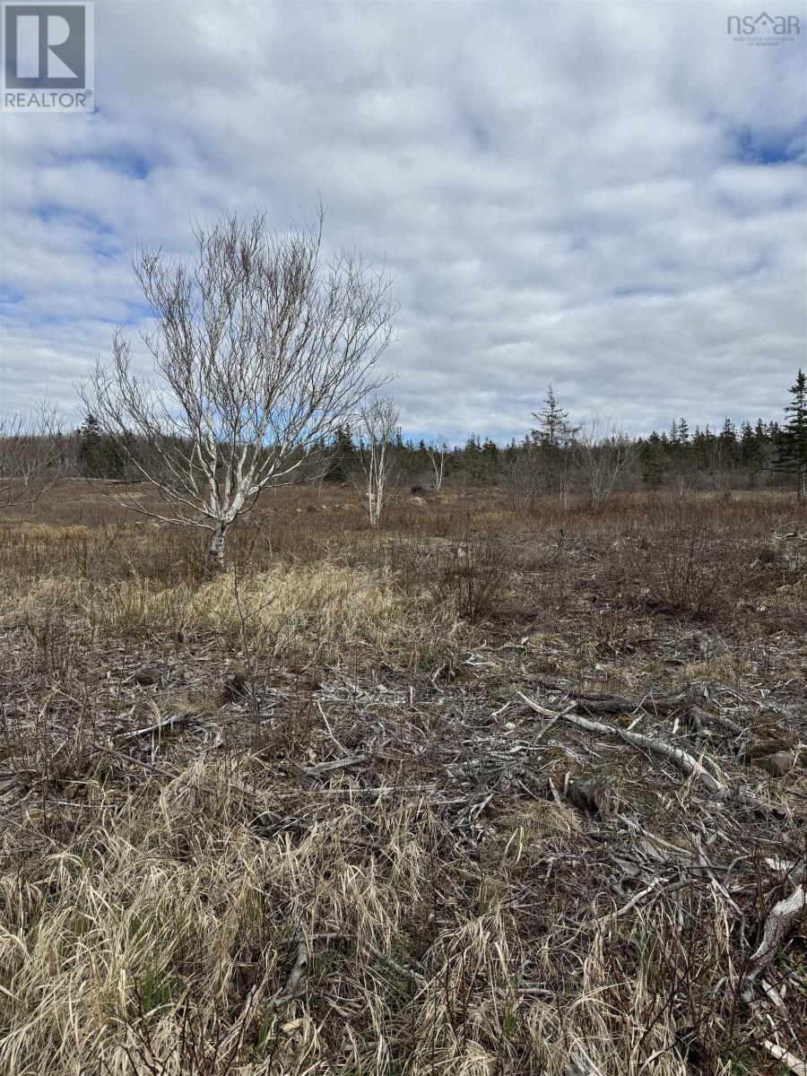Lot 8b Shore Road West, Phinneys Cove, Nova Scotia  B0S 1L0 - Photo 5 - 202606562