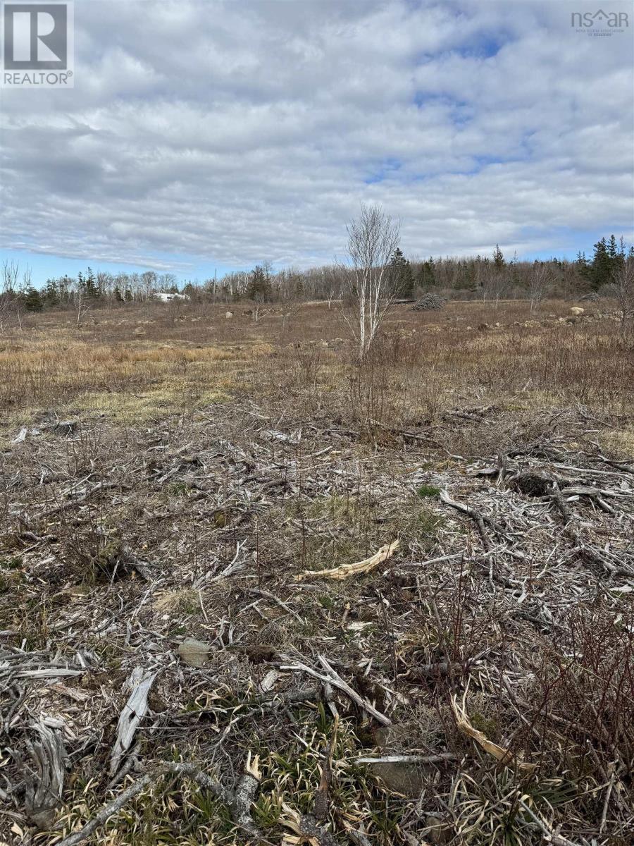 Lot 8b Shore Road West, Phinneys Cove, Nova Scotia  B0S 1L0 - Photo 6 - 202606562