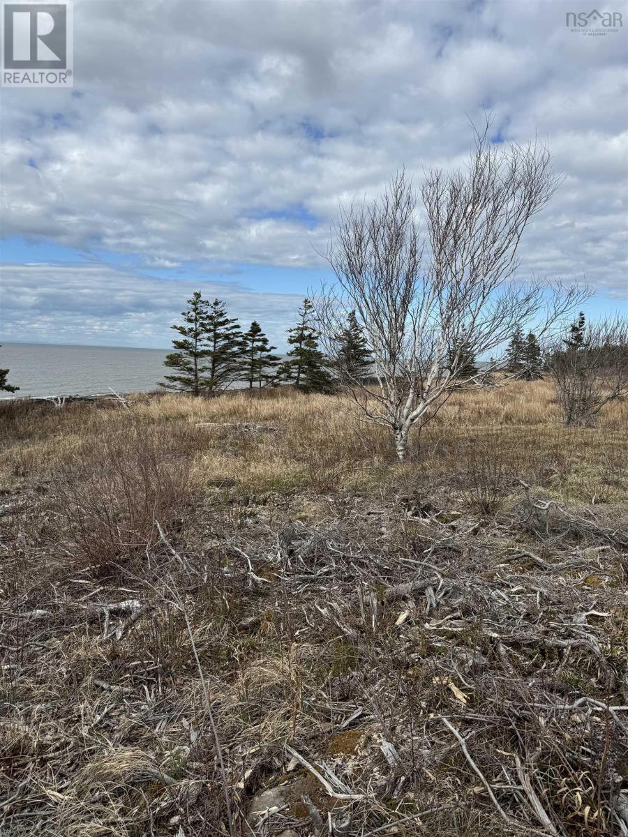 Lot 8b Shore Road West, Phinneys Cove, Nova Scotia  B0S 1L0 - Photo 7 - 202606562