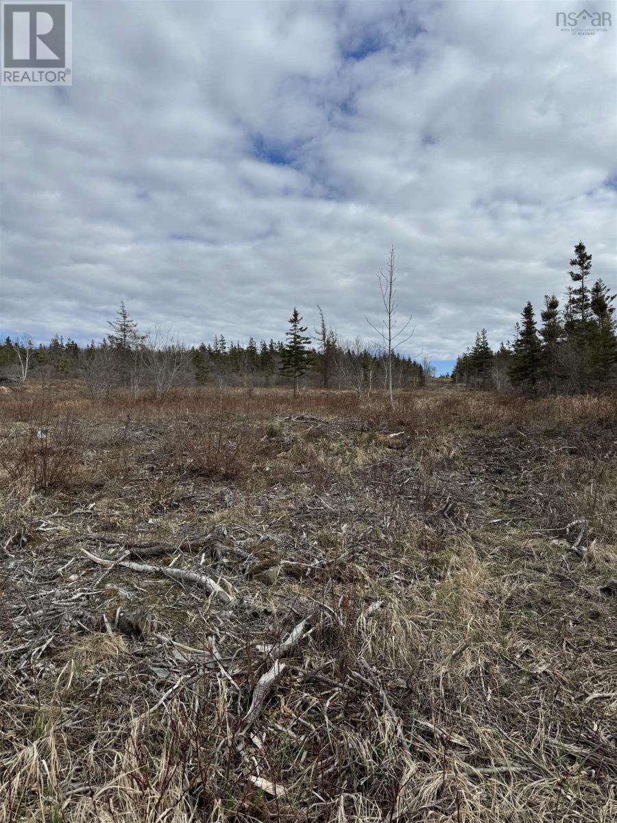 Lot 9 Shore Road West, Phinneys Cove, Nova Scotia  B0S 1L0 - Photo 17 - 202606563