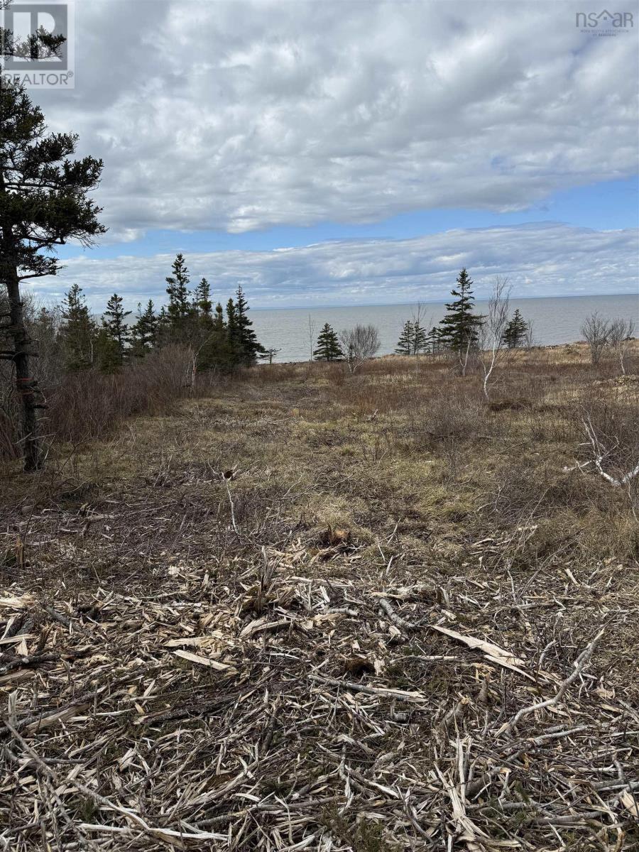 Lot 9 Shore Road West, Phinneys Cove, Nova Scotia  B0S 1L0 - Photo 18 - 202606563